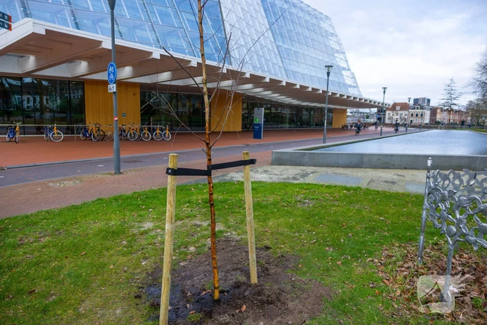 nieuws smallepad amersfoort