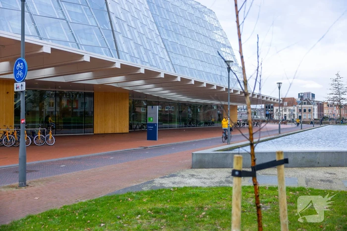 Actievoerders Greenpeace besmeuren geplante boom bij Staatsbosbeheer