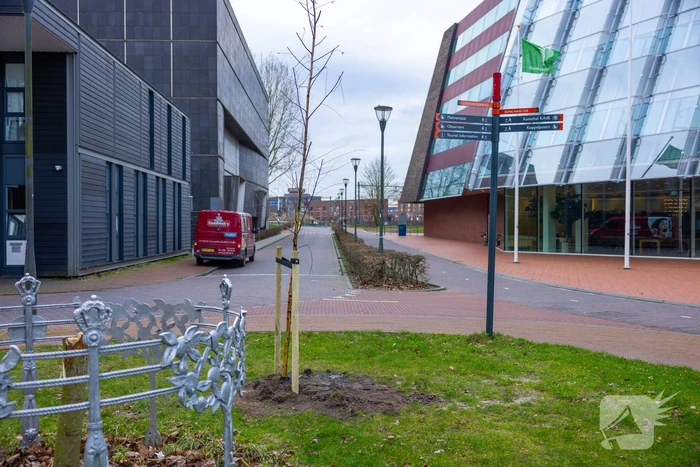 Actievoerders Greenpeace besmeuren geplante boom bij Staatsbosbeheer