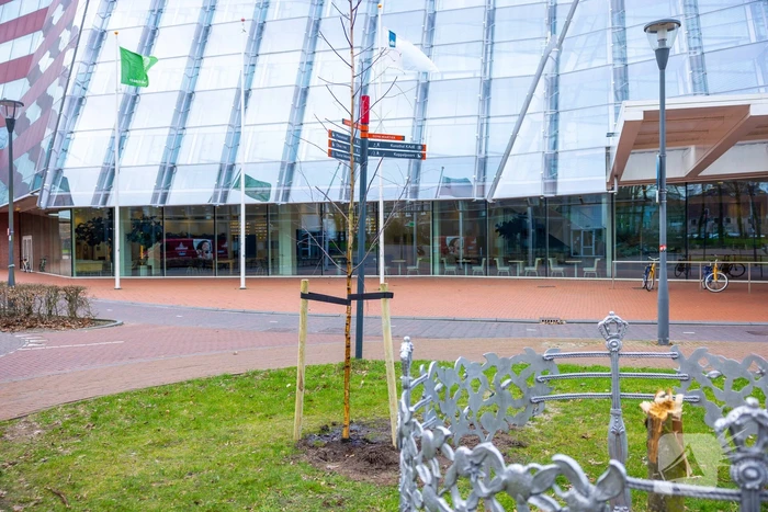 Actievoerders Greenpeace besmeuren geplante boom bij Staatsbosbeheer