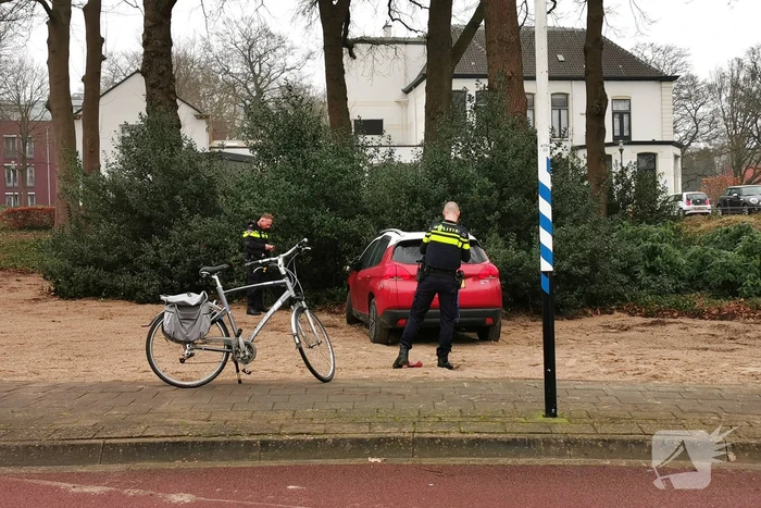 Automobilist ramt fietser en komt in bosjes tot stilstand