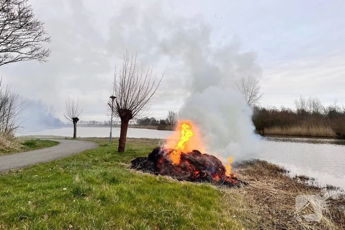 Veel rook en vuur bij brand in riet