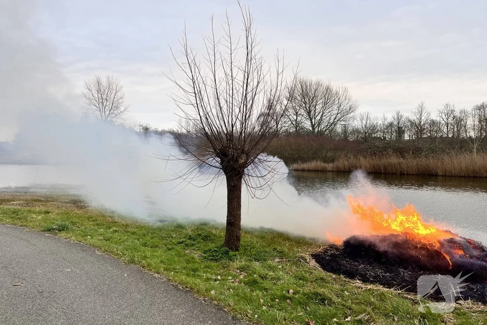 Veel rook en vuur bij brand in riet