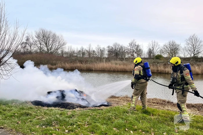 Veel rook en vuur bij brand in riet