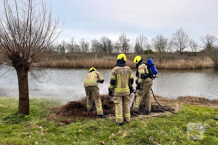 Veel rook en vuur bij brand in riet