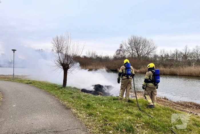 Veel rook en vuur bij brand in riet