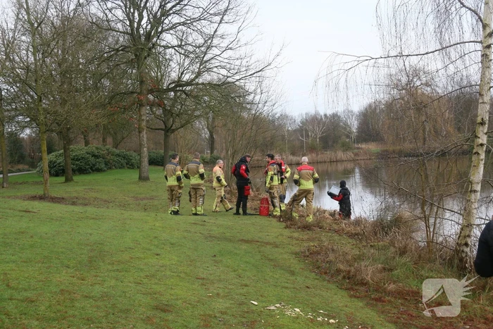 Duikers van de brandweer redden vastzittende meeuw