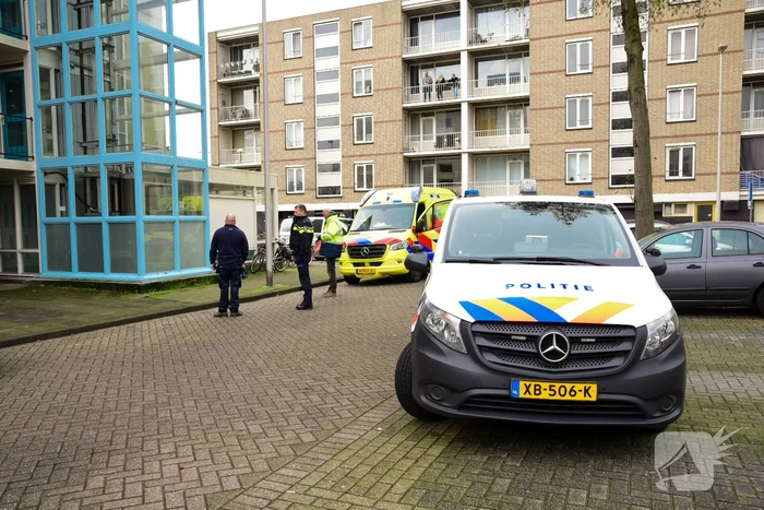Meerdere gewonden na aanval van agressieve hond