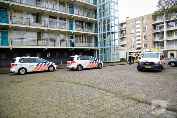 Meerdere gewonden na aanval van agressieve hond