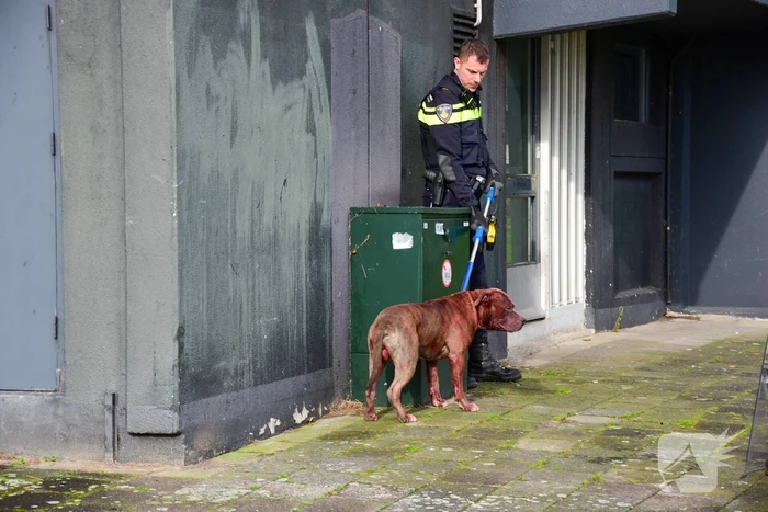 Meerdere gewonden na aanval van agressieve hond