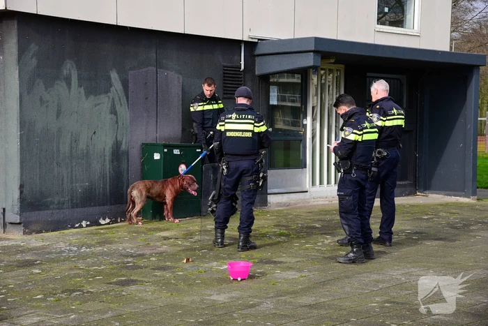 Meerdere gewonden na aanval van agressieve hond