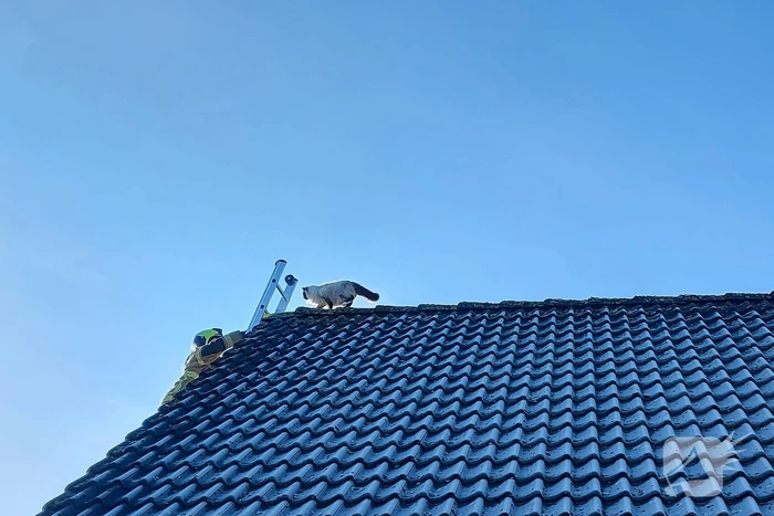nieuws winterkoning numansdorp