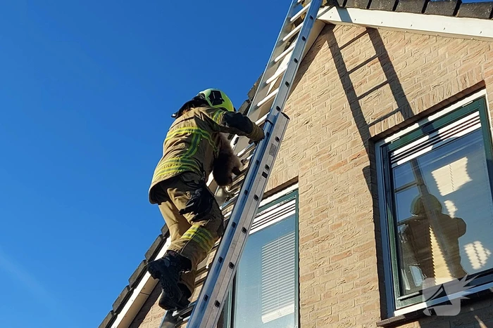 Brandweer redt kat van dak