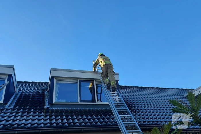 Brandweer redt kat van dak