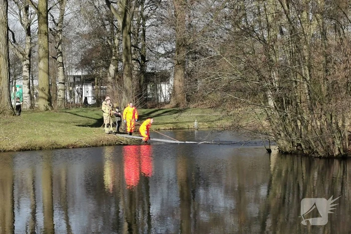 Brandweer redt gans met visdraad om zijn nek