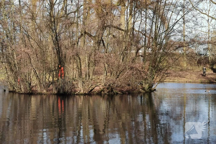 Brandweer redt gans met visdraad om zijn nek