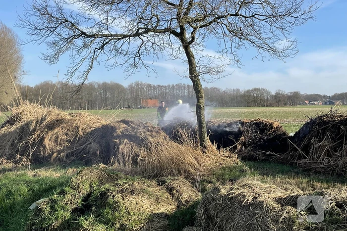 Brand in berg met gemaaid riet