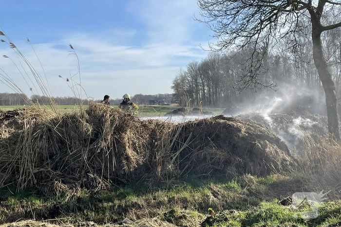 Brand in berg met gemaaid riet