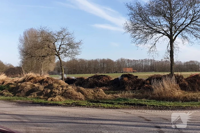 Brand in berg met gemaaid riet