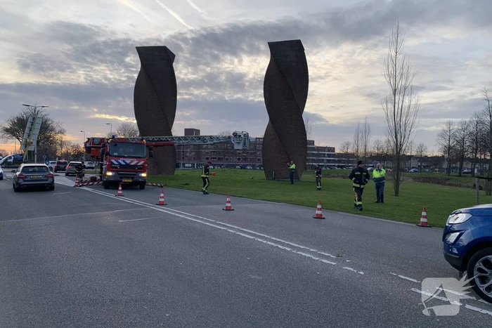 Brandweer redt gans uit kunstwerk