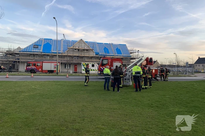 Brandweer redt gans uit kunstwerk