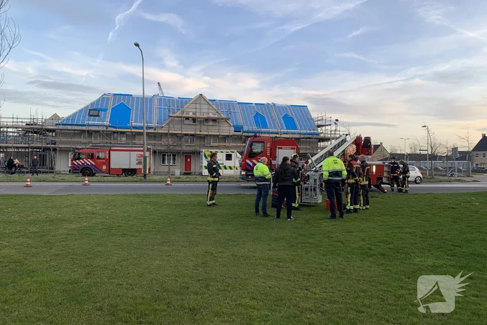 Brandweer redt gans uit kunstwerk