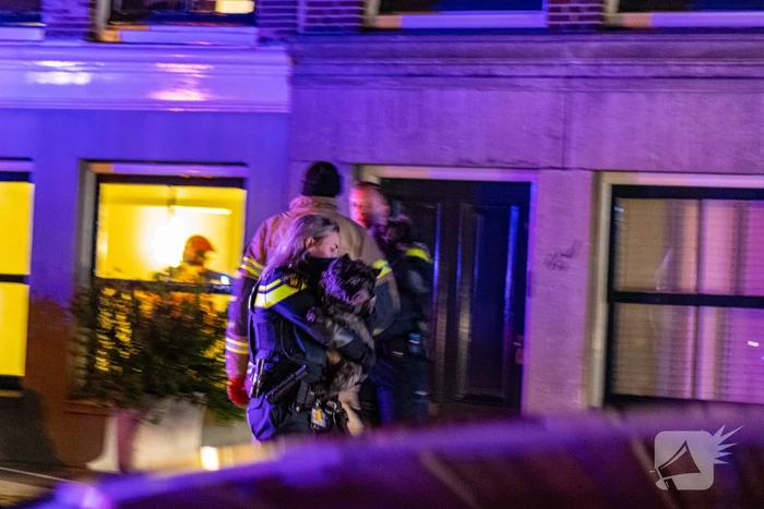 Brandweer redt honden bij forse brand in grachtenpand
