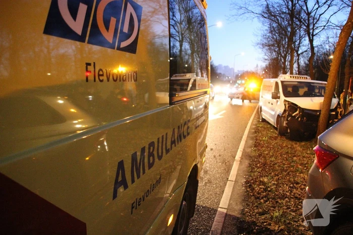 Bestelbus crasht tegen boom
