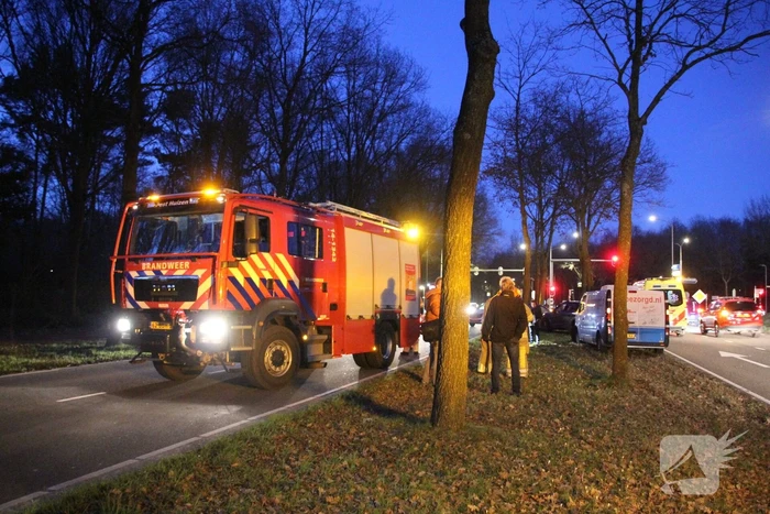 Bestelbus crasht tegen boom