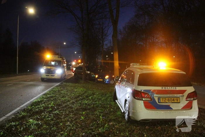 Bestelbus crasht tegen boom