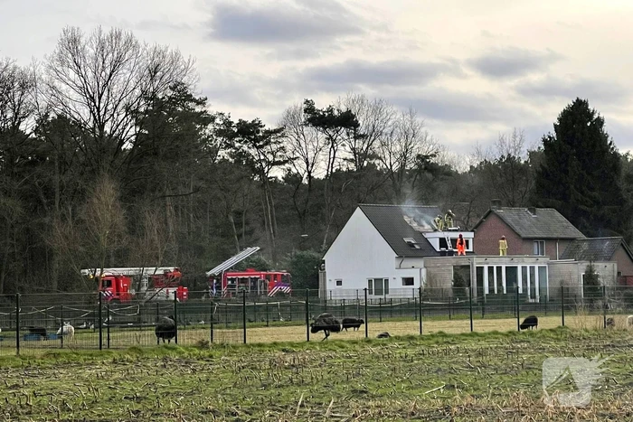 brand eksterlaan lieshout