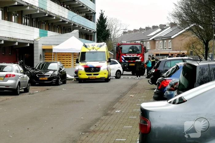 nieuws goeman borgesiuslaan harderwijk