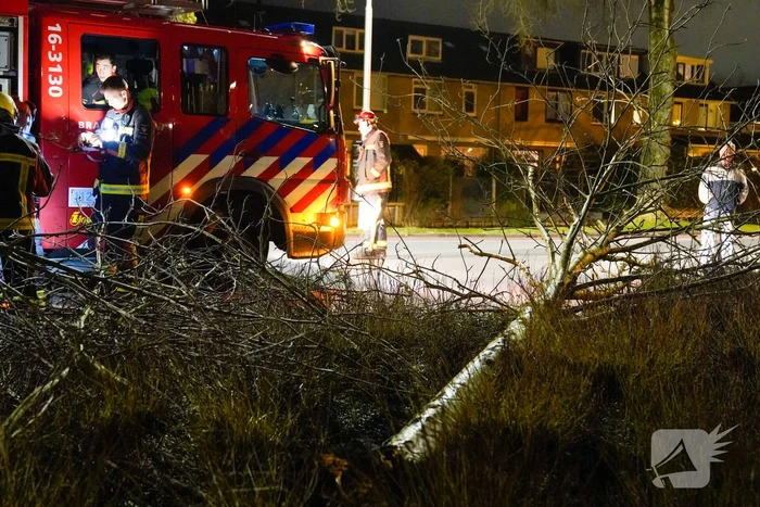 natuur plaswijckweg gouda