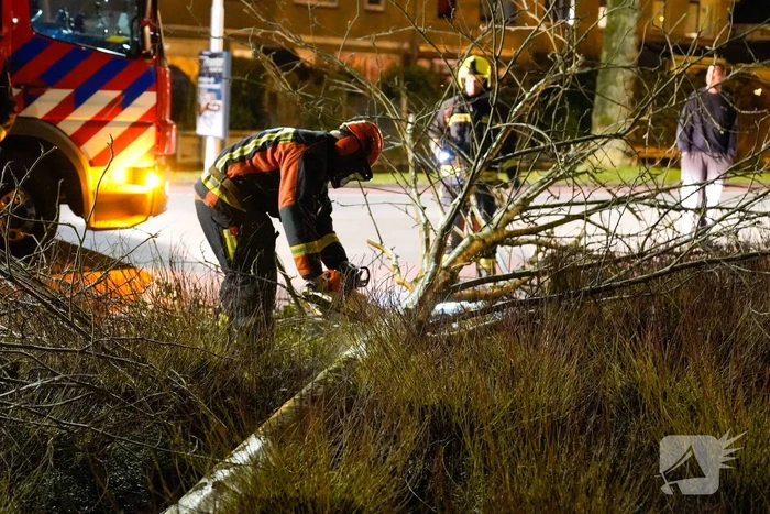 Boom valt om door harde wind