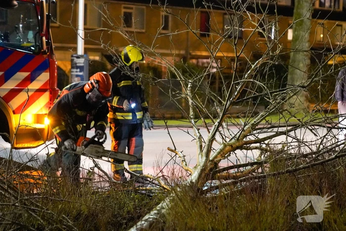 Boom valt om door harde wind