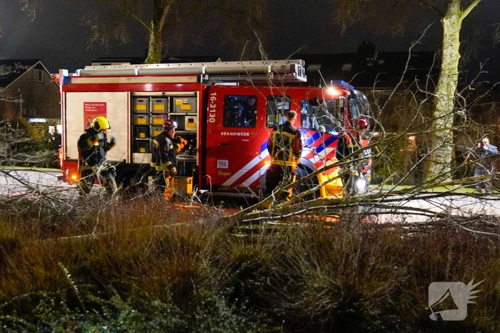 Boom valt om door harde wind
