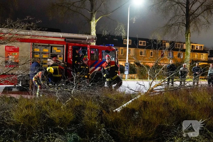 Boom valt om door harde wind