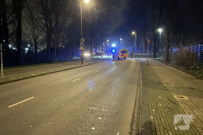 Gewonde nadat boom op auto valt