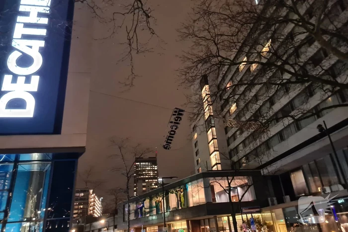 natuur coolsingel rotterdam