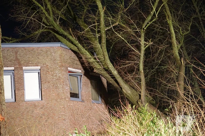 natuur laan corpus den hoorn groningen