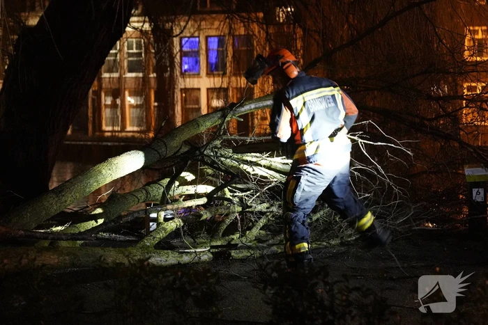 Tak afgebroken en op de weg gevallen