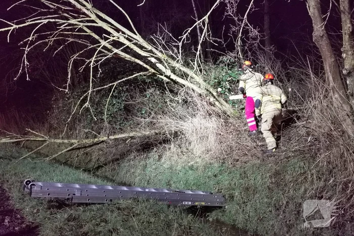 Brandweer zaagt twee bomen om
