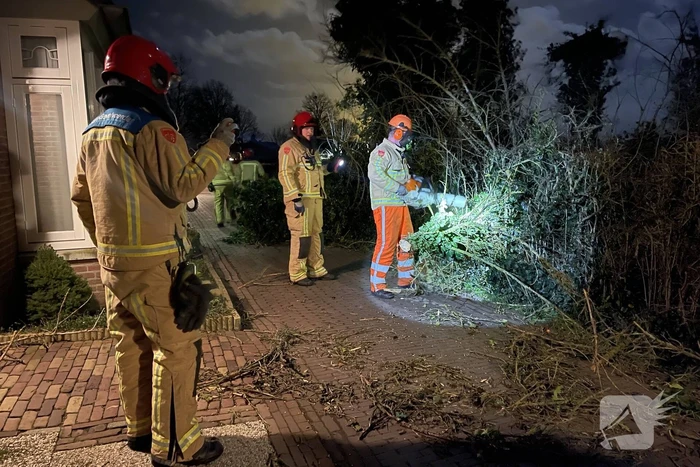 Twee omgewaaide bomen beschadigde woning