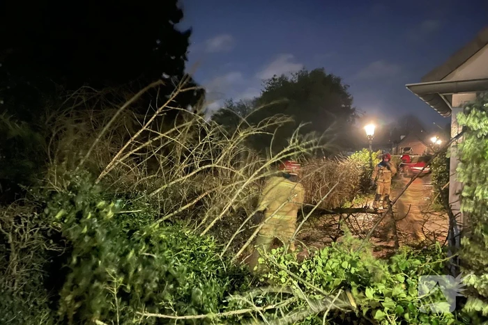 Twee omgewaaide bomen beschadigde woning