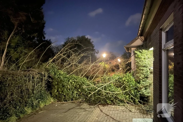 Twee omgewaaide bomen beschadigde woning