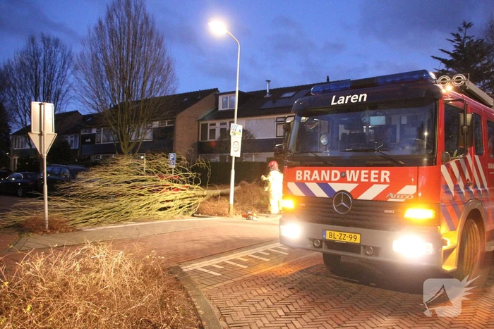natuur graafland laren