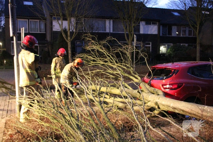 Autoruit gesneuveld door omgewaaide boom storm Dudley