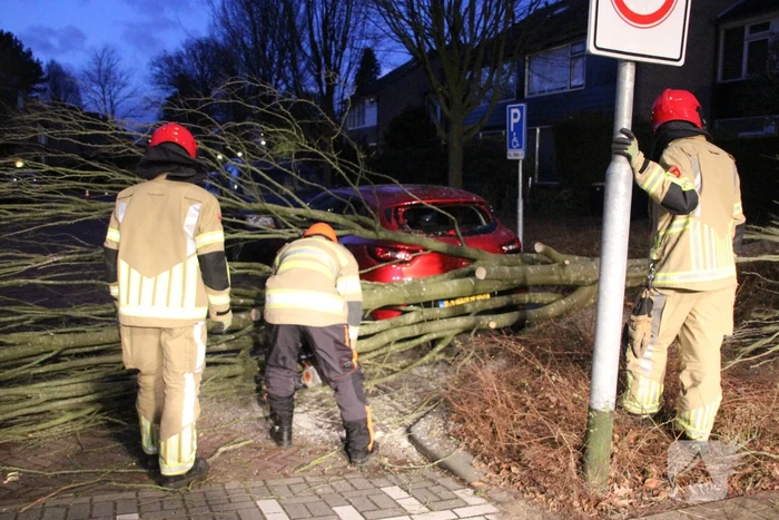 Autoruit gesneuveld door omgewaaide boom storm Dudley