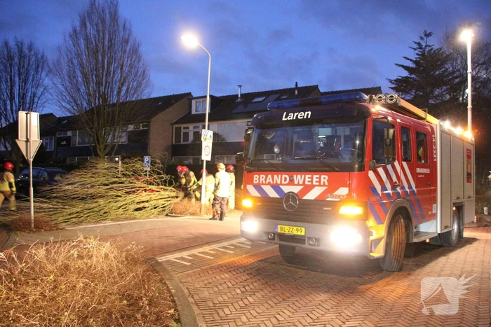 Autoruit gesneuveld door omgewaaide boom storm Dudley
