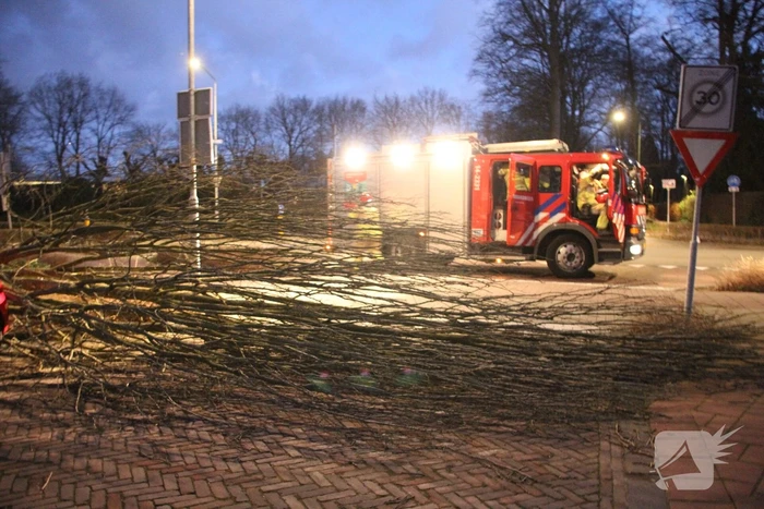 Autoruit gesneuveld door omgewaaide boom storm Dudley